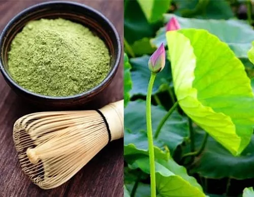 Bột Lá Sen (500gr)