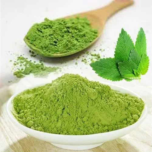Bột lá bạc hà (500gr) sấy lạnh nguyên chất 100% Ogranic