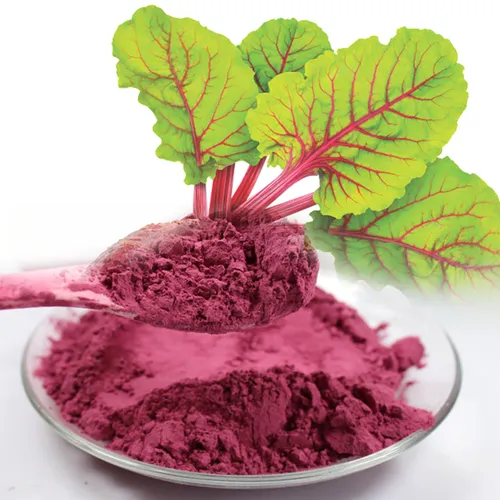 BỘT CỦ DỀN (500GR)