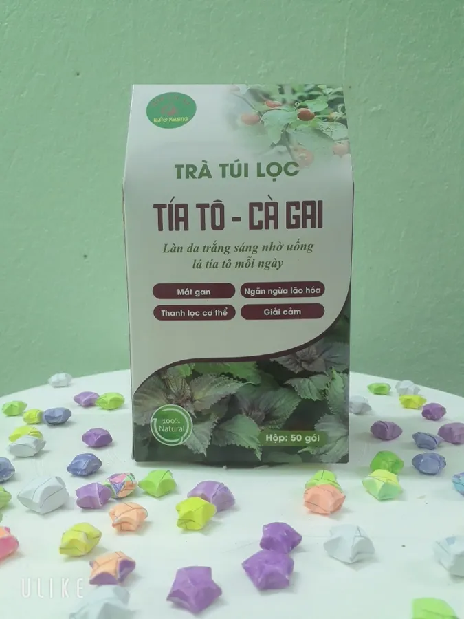 Trà Tía tô – cà gai leo (hộp 50 túi lọc )