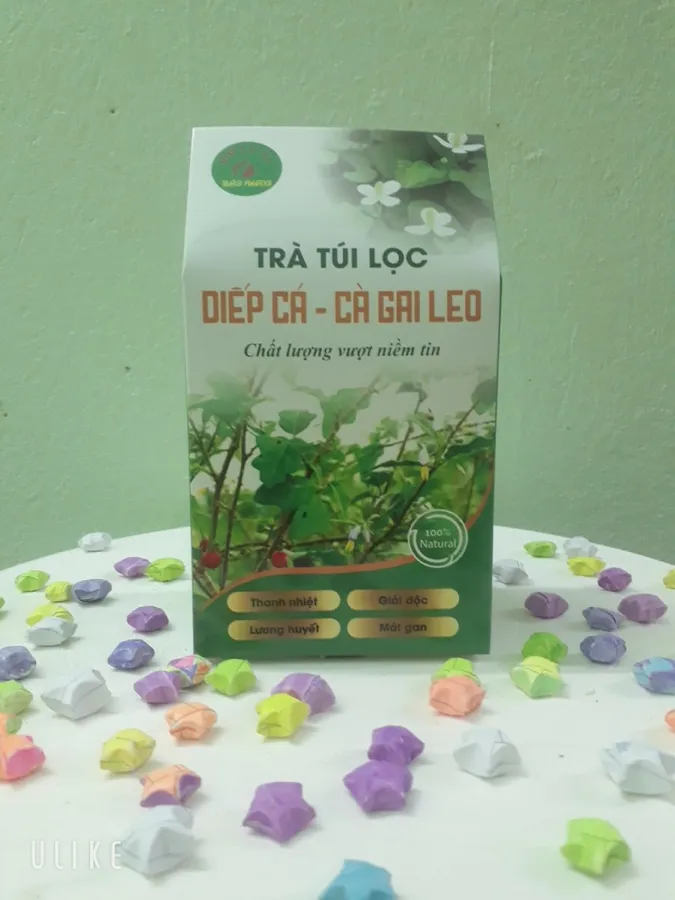 Trà Diếp cá – cà gai leo (hộp 50 túi lọc)