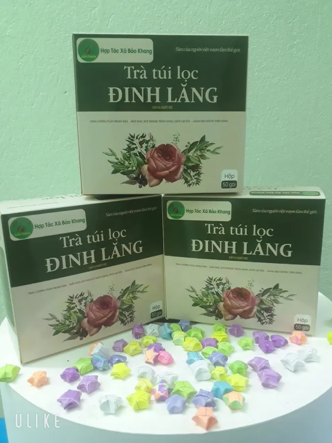 Trà Đinh lăng (hộp 50 túi lọc)