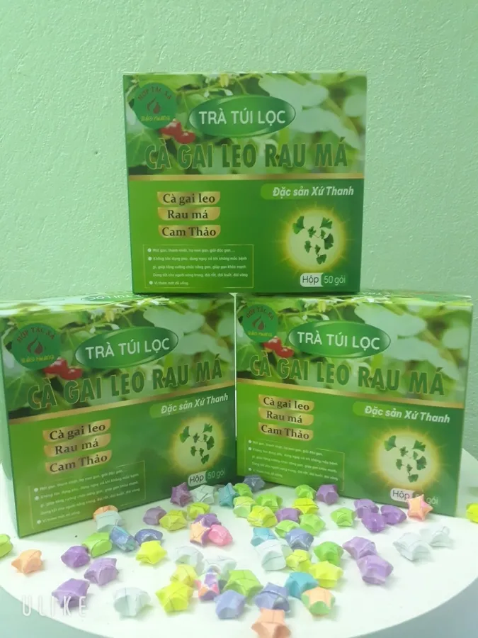 Trà Cà gai leo – Rau má (hộp 50 gói)