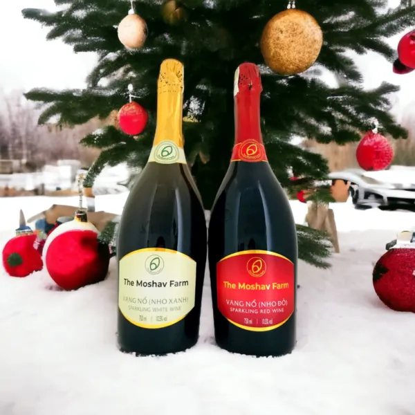 Rượu vang nổ – Sparkling wine 750ml x2 chai trắng và đỏ