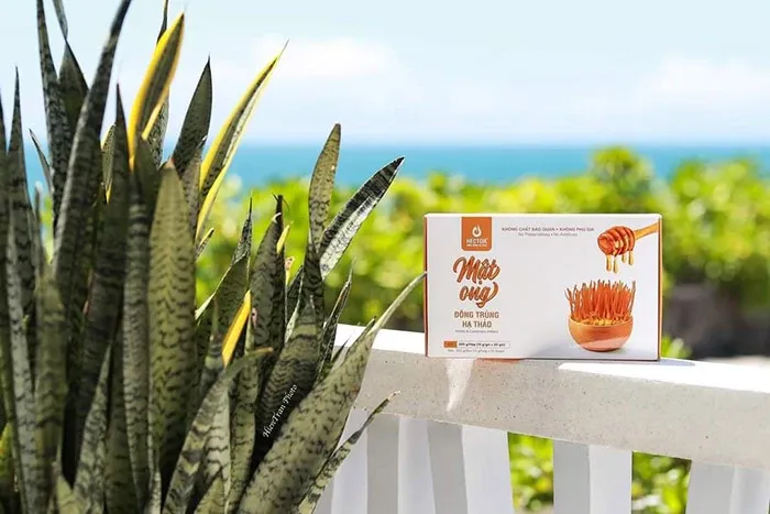 Mật ong đông trùng hạ thảo Hector – Hộp 15g/gói x 20 gói