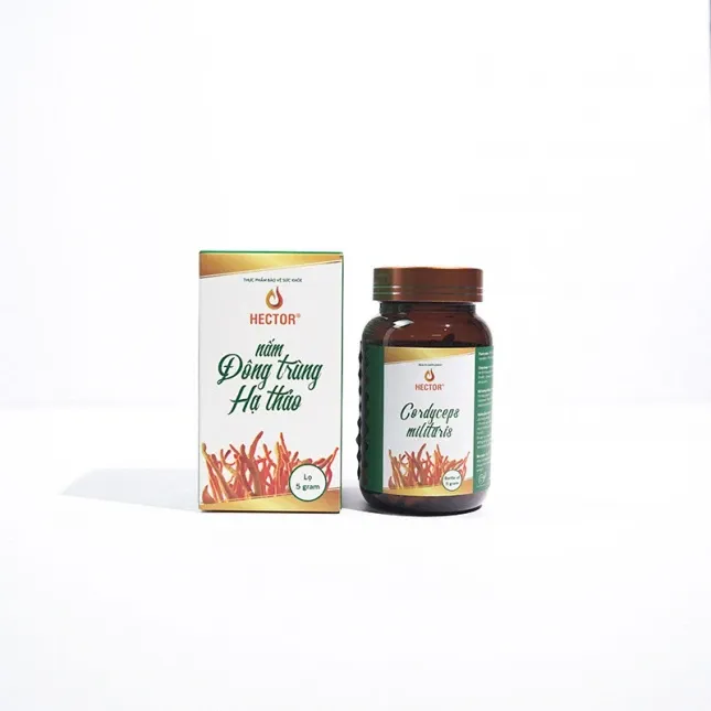 Đông trùng hạ thảo sấy thăng hoa Hector – 5gr/Hộp