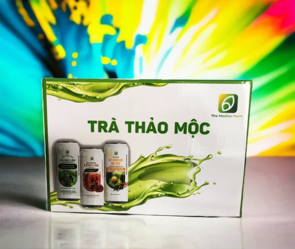 Trà Thảo Mộc Mix 3 Loại (Cà Gai Leo – Nấm Linh Chi – Chùm Bao Đậu Săng) – Thùng 24 lon x 240ml