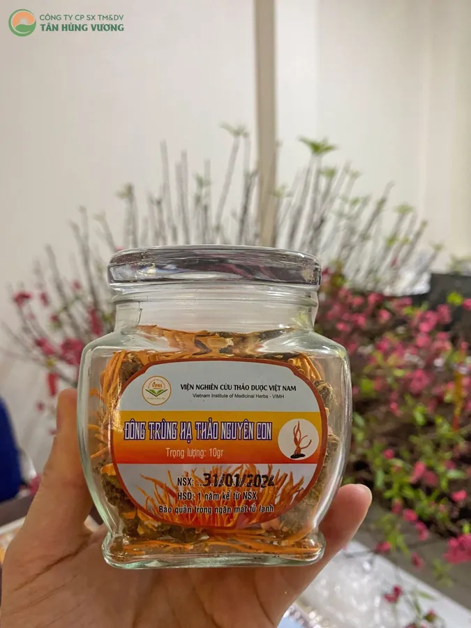 Đông Trùng Hạ Thảo Viện Thảo Dược – Quả Thể Khô 10gr