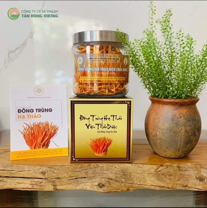 Đông Trùng Hạ Thảo Viện Thảo Dược – Quả Thể Khô 20gr