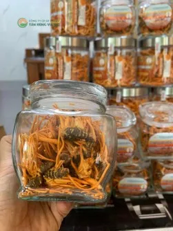 Đông Trùng Hạ Thảo Viện Thảo Dược – Nhộng Khô 10gr
