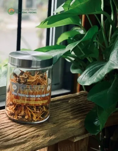Đông Trùng Hạ Thảo Viện Thảo Dược – Nhộng khô 30gr