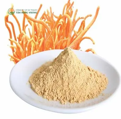 Đông trùng Hạ thảo Viện Thảo Dược – Bột Đế 1kg