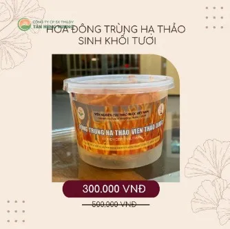 Đông Trùng Hạ Thảo Viện Thảo Dược – Sinh Khối Tươi